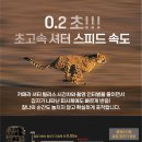 귀중농장 이미지