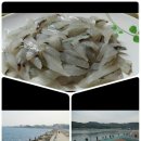 양포등대펜션 이미지