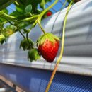 진주북부농업협동조합 이미지