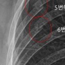 이석휴정형외과의원 이미지
