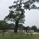 새날목장 | &lt;하루여행 01&gt; 충남 서산편 --백제의 미소를 찾아서