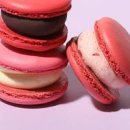 마카롱 이미지