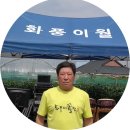 이월면재래시장 활성화지역단체장이 앞장서 이미지