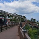 태생파크 이미지