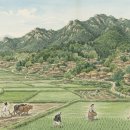 난향동-31 | 1912년 서울 관악구 신림동은 몇 필지였을까? 관악산 기슭 새 숲 마을의 기록 문화유산 시굴조사...