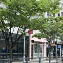 네일블라썸 - 연제구 신금로 25 | [구로디지털단지역네일샵 후기] 구디역 블라썸속눈썹네일 자석글리터 패디