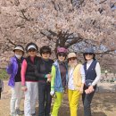 &#34; 우와, 진짜 크다!&#34;,&#34;너무 귀여워&#34; 잠실 석촌호수 피카츄모습~ 이미지