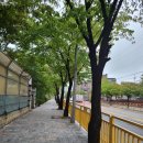 현산초등학교 이미지