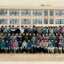 송정중앙초등학교 네이버블로그
