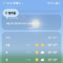 이제 몇시간 후면 ㅠㅠ 이미지