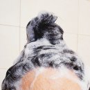 블루메드 | 쉽게 떡지는 지성두피를 위한 스칼프메드 블루 솔트 샴푸 후기