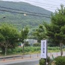 기와집식당 | [식당] 팔공산 큰기와집 식당 오리백숙 맛집, 부추전 내돈내산 후기
