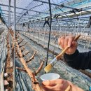 훈이농장 이미지