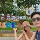 수영하나약국 이미지