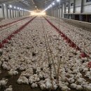 문기농장 이미지