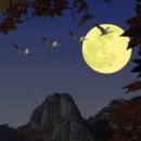 정월 - 상주시 | 정월