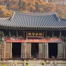 대광출판사 | 석가모니가 주불이 아닌 대웅전도 있다