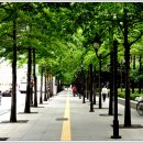 공평주유소 이미지