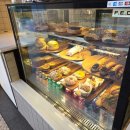 냠냠 떡볶이 앤 꼬꼬발 | 여자 혼자 호주 여행 6일차 (지그재그 블루마운틴 투어 + 페더데일 동물원 + 시닉월드 / 신전떡볶이)