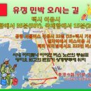 유정민박 이미지