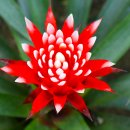 상동호수공원 이미지