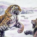 하룻강아지 이미지