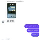 국시야 | 11월 각오해라
