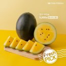 미코푸드 이미지