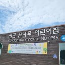 선단꿈나무어린이집 네이버블로그