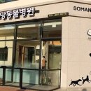 거부기동물병원