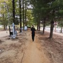 신안평거녹지 이미지