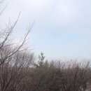 내치해수욕장 네이버블로그