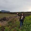 제주 티라 호텔 이미지