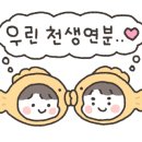 요빙빙