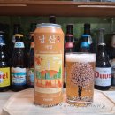 GS25남산휴먼점 | 가격 알코올 도수 칼로리 용량 원산지 역사 할인 파는 곳 맛 후기《 GS25 편의점 남산 맥주 리뉴얼 500ml》