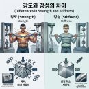 성은지질 | 강성(Stiffness)과 강도(Strength) - 제139회 토질 및 기초기술사 기출문제