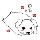 더블스테이 또또멍 애견펜션 이미지