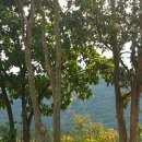 일심 공인중개사 사무소 이미지