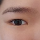 UR(원주시)-[동부순환로]-상-10 | [원주 속눈썹펌] 잃어버린 속눈썹을 찾은 후기🙊