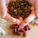 한나라한의원 이미지