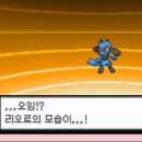 마따마따 이미지