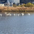 재송2동-15 이미지