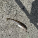 궁항리조트 이미지