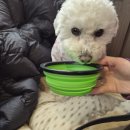 윤극영가옥 1층 화장실 | (반려동물출입법 개정 후) 수원 행궁동 애견동반 식당 '몽상가옥' 내돈내산 후기