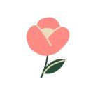 더팜플러스 이미지