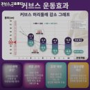 커브스 고읍클럽 | 경기도 양주시 헬스장 커브스 고읍클럽 내용가격운영시간주차리뷰 알아보기