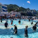 (주)울릉가이드 | 24회 2026 울릉도 오징어 축제: 놓치면 후회할 일정과 신나는 프로그램 완벽 가이드