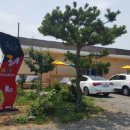 무릉고서화미술박물관 이미지