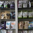 아지발바닥 이미지