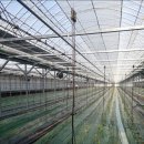 오포리농장 이미지